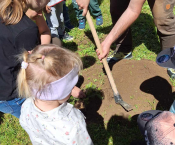 Lesná pedagogika