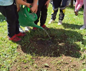 Lesná pedagogika