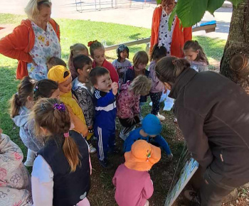 Lesná pedagogika