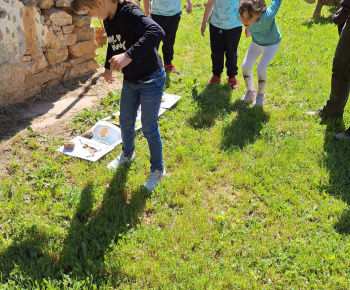 Lesná pedagogika