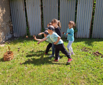 Lesná pedagogika