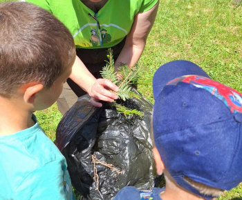 Lesná pedagogika